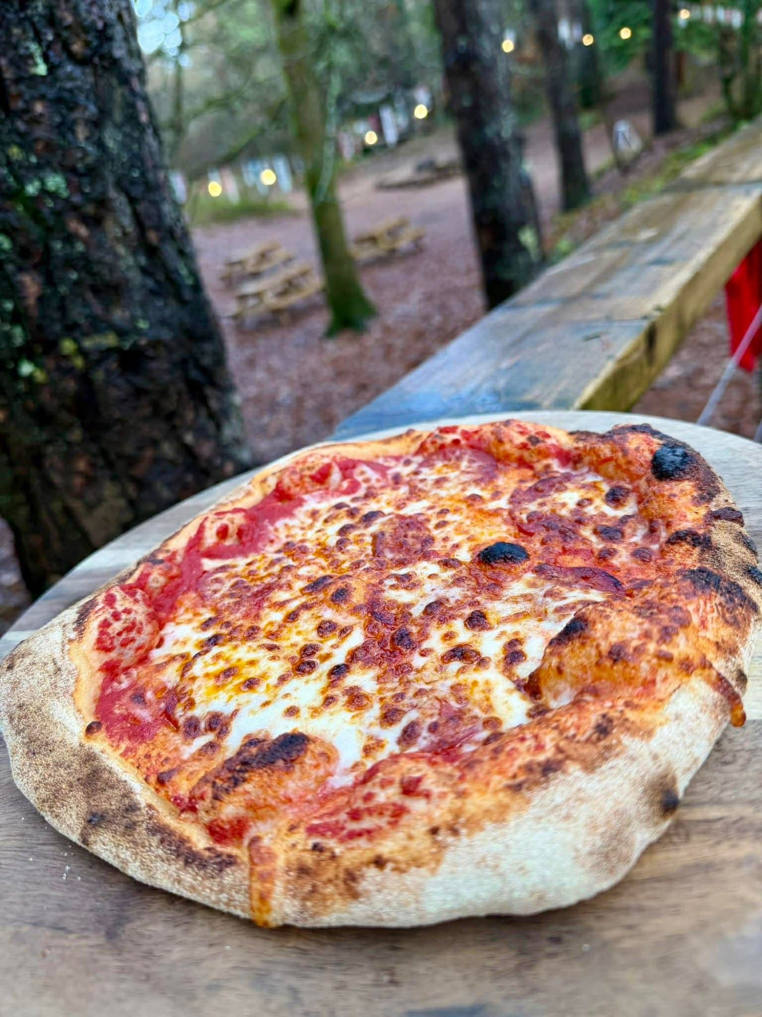 Fresh Margarita pizza